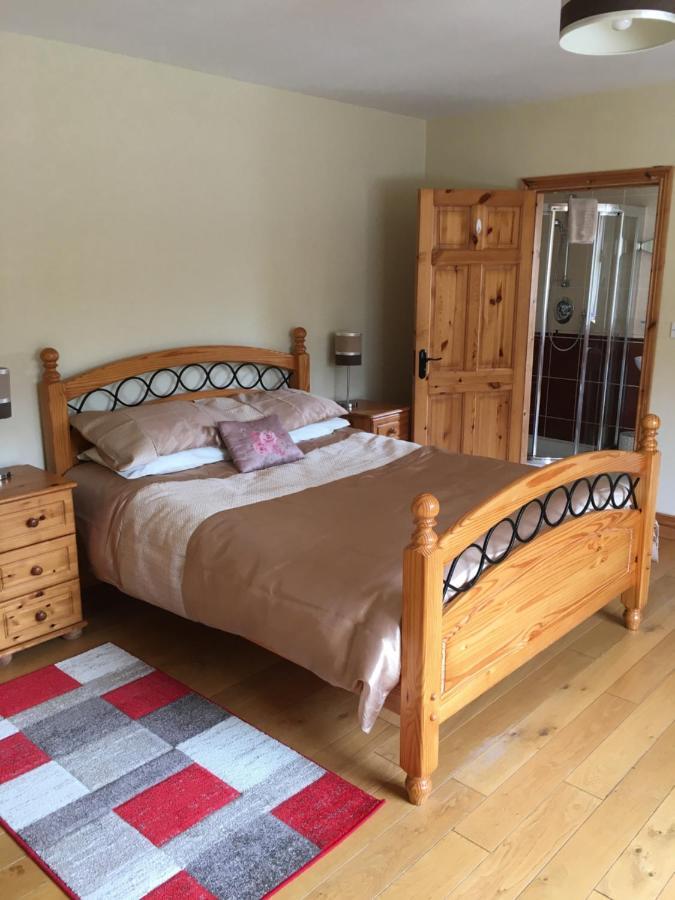 Camino House Bed & Breakfast Tralee Luaran gambar