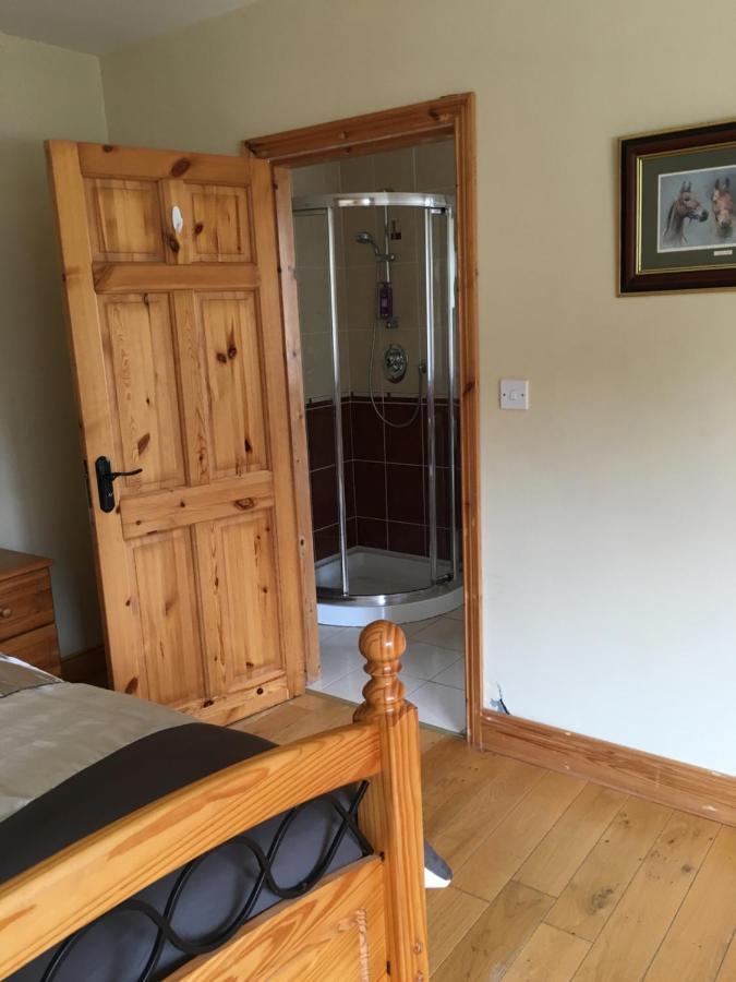 Camino House Bed & Breakfast Tralee Luaran gambar